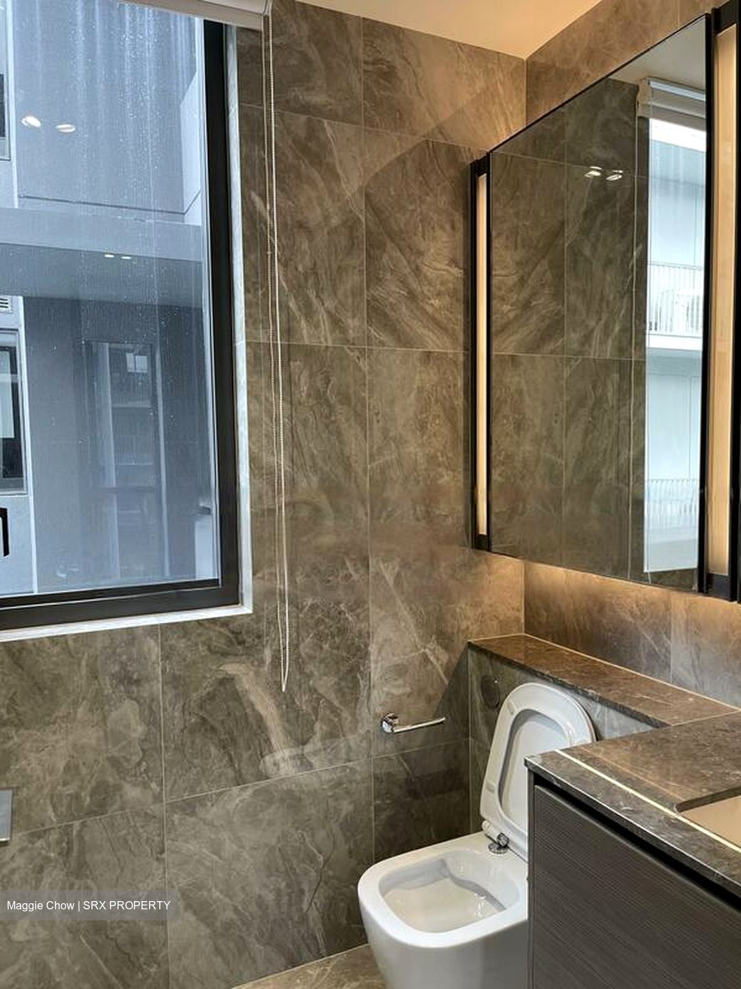 Leedon Green (D10), Condominium #564582061